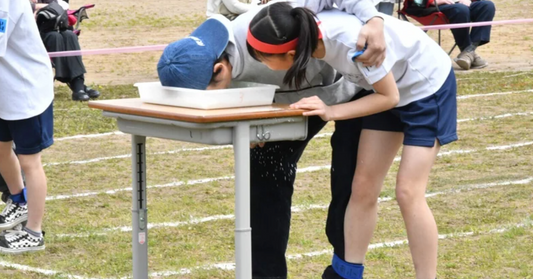 はじめてみました