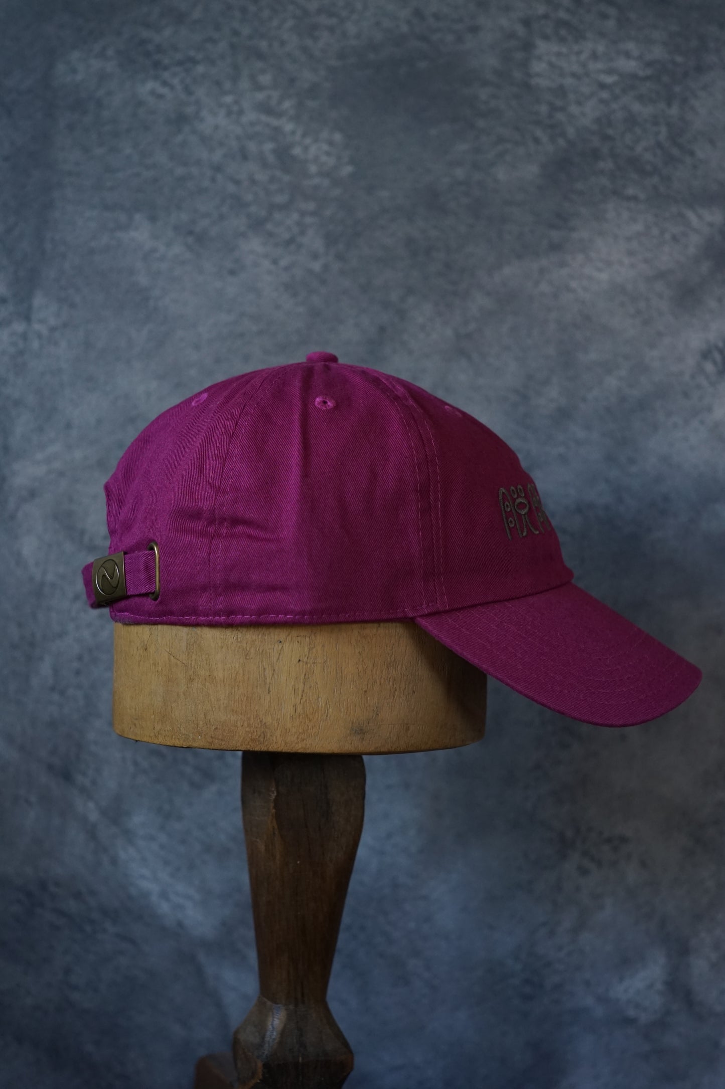 脱脱炭素CAP