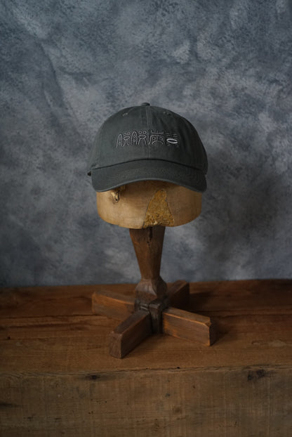 脱脱炭素CAP